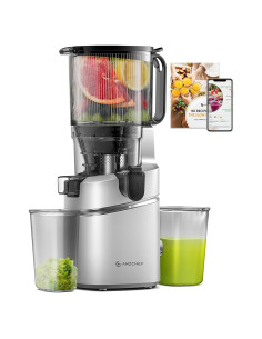Exprimidor de Jugo AMZCHEF SJ-036 PRO 250W Plata 14.7cm