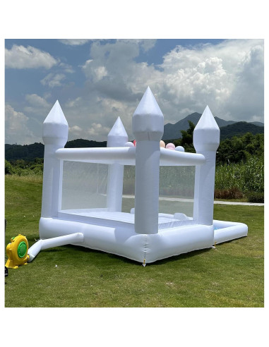 Casa de Rebote Inflable Pettool 3.96x2.44m con Tobogán y Piscina