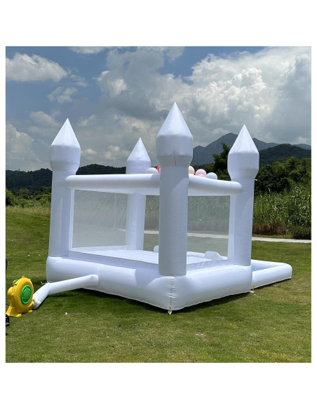 Casa de Rebote Inflable Pettool 3.96x2.44m con Tobogán y Piscina