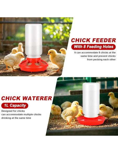 Caja de Cría para Pollitos ROSTIUTE con Comedero y Bebedero