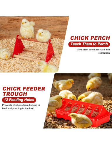 Caja de Cría para Pollitos ROSTIUTE con Comedero y Bebedero