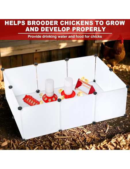 Caja de Cría para Pollitos ROSTIUTE con Comedero y Bebedero