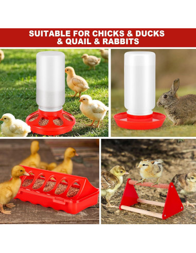 Caja de Cría para Pollitos ROSTIUTE con Comedero y Bebedero