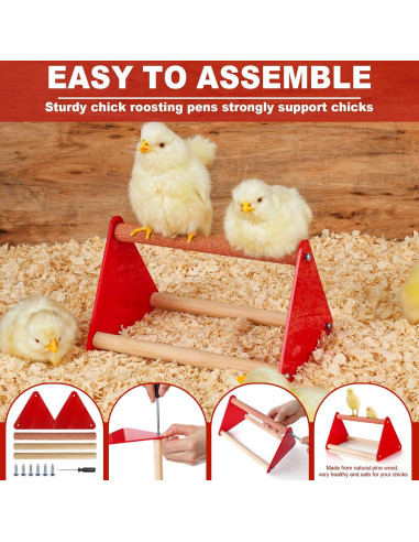 Caja de Cría para Pollitos ROSTIUTE con Comedero y Bebedero