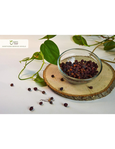 Berries de Espino Secas Enteras Orgánicas 113.4 g - Vegan