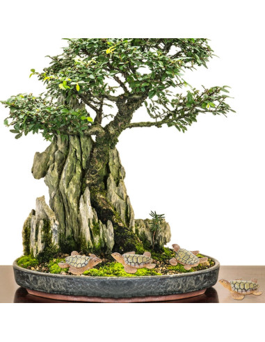 VAIPI 15 Mini Figuras de Tortugas Marinas de Resina 4x4 cm