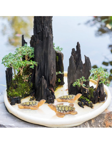 VAIPI 15 Mini Figuras de Tortugas Marinas de Resina 4x4 cm