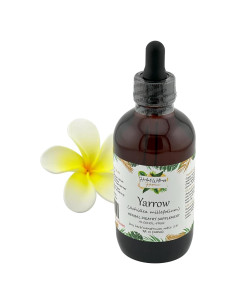 Tintura de Yarrow Orgánico Sin Alcohol 113.4 ml - Herball Wellness
