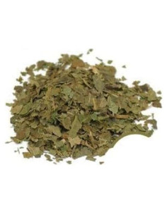 Hoja de Nogal Negro Deshidratada Orgánica 50g - Natural