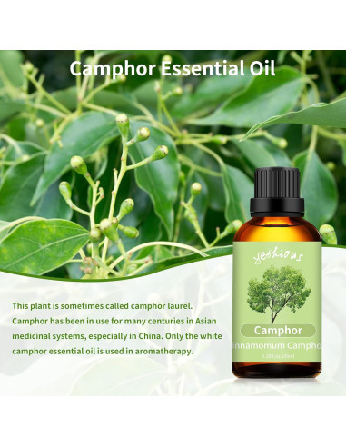 Aceite Esencial de Alcanfor Yethious 100ml - Aromaterapia y Masaje