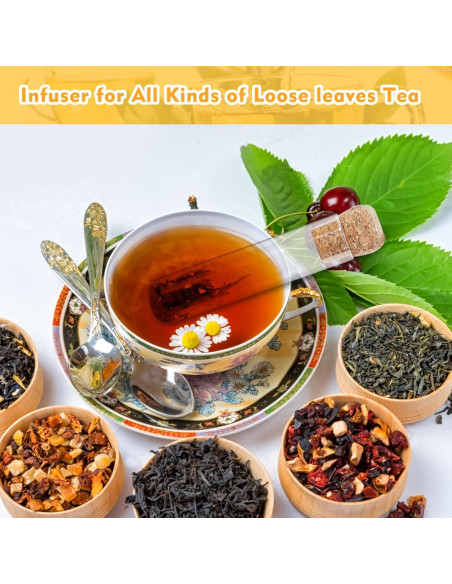 Filtros de Té de Vidrio Whaline 6 Pcs con Corcho 15.5 cm