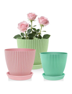 Juego de 3 Macetas Pequeñas SupKing con Drenaje 12.7-10.2-8.9 cm