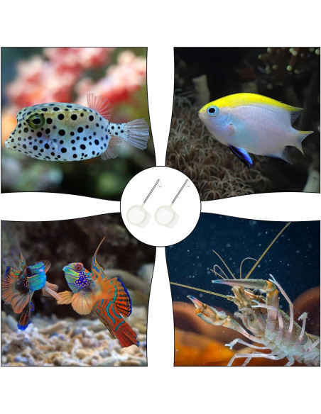 2 Redes de Pesca Redondas QfwdfcTrenz para Acuario 7.62 cm