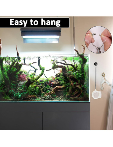 2 Redes de Pesca Redondas QfwdfcTrenz para Acuario 7.62 cm