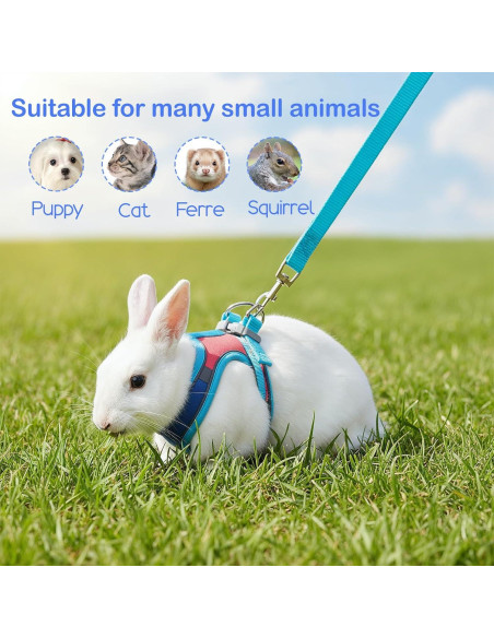 Arnés y Correa Ajustables Aiyorse para Conejos M Azul/Rosa Arnés y Correa Ajustables Aiyorse para Conejos M Azul/Rosa