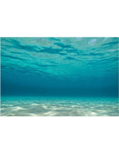 Fondo de Acuario Adhesivo T&H 62x31 cm PVC Decorativo 2