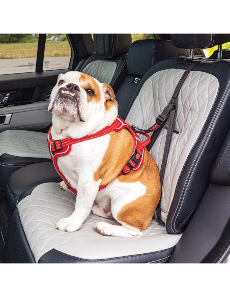 Cinturón de Seguridad para Perros KONG Ultimate Tether