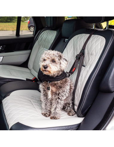 Cinturón de Seguridad para Perros KONG Ultimate Tether