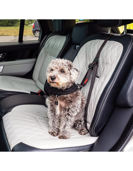 Cinturón de Seguridad para Perros KONG Ultimate Tether