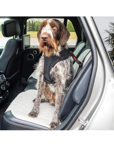 Cinturón de Seguridad para Perros KONG Ultimate Tether