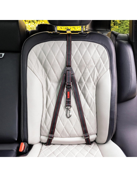 Cinturón de Seguridad para Perros KONG Ultimate Tether