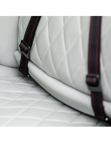 Cinturón de Seguridad para Perros KONG Ultimate Tether