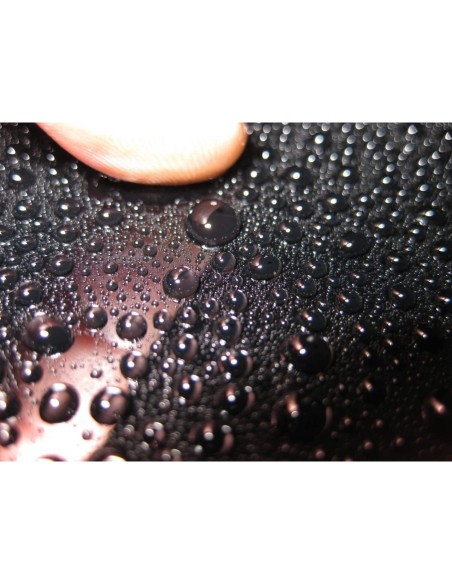 CARPRO Reload 2.0 Sellador Cerámico en Spray 500mL