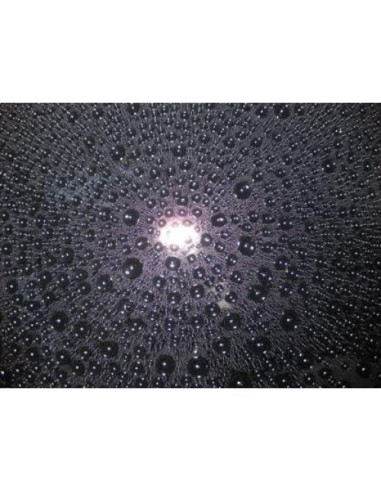 CARPRO Reload 2.0 Sellador Cerámico en Spray 500mL