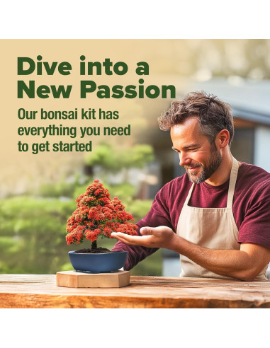 Kit de Bonsai HOME GROWN - 6 Variedades con Macetas