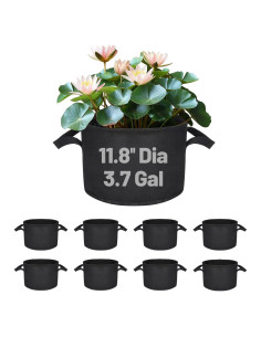 Paquete de 8 macetas de cultivo Aulock para lirios 30 cm