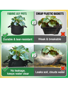 Paquete de 8 macetas de cultivo Aulock para lirios 30 cm 2