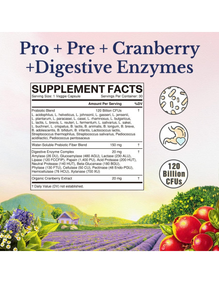 Probioticos Vitalitown para Mujeres 120 Mil Millones CFUs 30 Capsulas Probioticos Vitalitown para Mujeres 120 Mil Millones CFUs 30 Capsulas