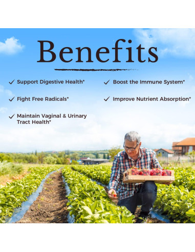 Probioticos Vitalitown para Mujeres 120 Mil Millones CFUs 30 Capsulas