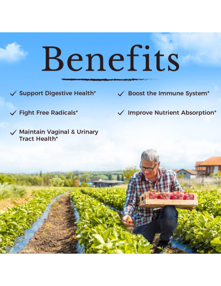 Probioticos Vitalitown para Mujeres 120 Mil Millones CFUs 30 Capsulas Probioticos Vitalitown para Mujeres 120 Mil Millones CFUs 30 Capsulas