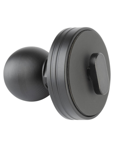 Soporte de Monitor Bulletpoint 20mm para Cámara de Respaldo