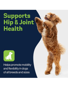 Suplemento Articular LVL Up Pup para Perros Mayores - Glucosamina y Condroitina 2