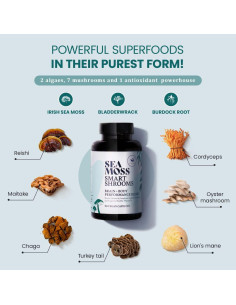 Cápsulas Veganas de Musgo Marino Irlandés Happy Fox 1500mg 2