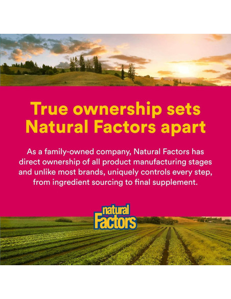 Vitamina C 1000mg Liberación Prolongada Factores Naturales 90 Tabletas Vitamina C 1000mg Liberación Prolongada Factores Naturales 90 Tabletas