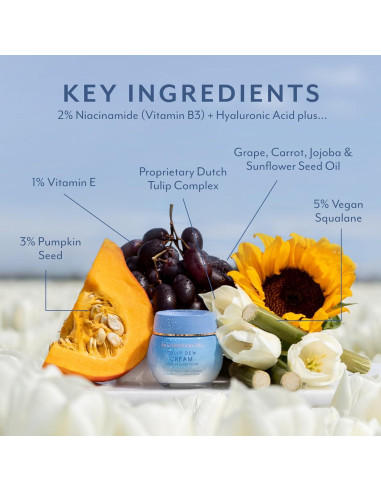 Crema Hidratante y Primer 2-en-1 Bloomeffects 50 ml