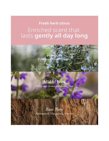 Espuma Limpiadora Facial Antioxidante FIT YOUR SKIN 120 ml