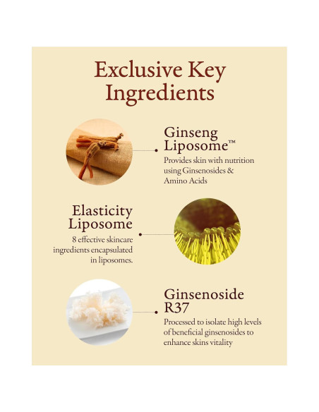 Set de Cuidado de Piel Sooryehan Micro Ginseng 331.5 ml - Hidratación y Elasticidad