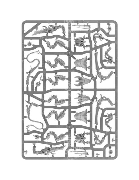 Guerreros Tyranidos Warhammer 40,000 Prime - 181g