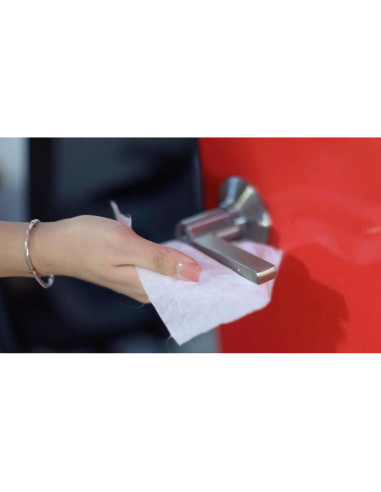 Toallitas de Limpieza Multi-Superficie SANIDRY Rosmar 300 Unidades