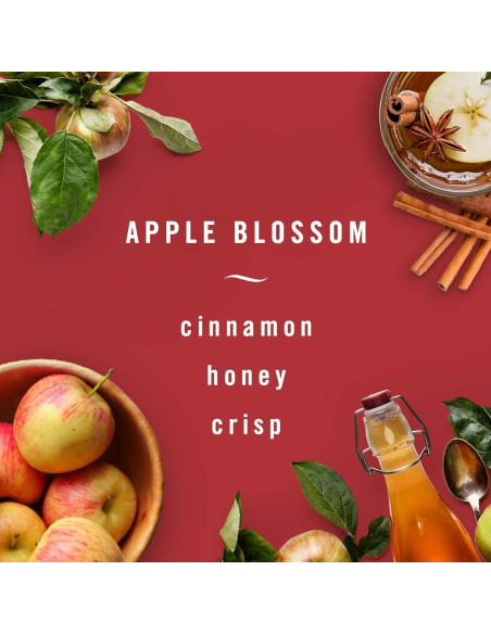 Ambientador de Aire Febreze Auto Clip Ventilación Flor de Manzano