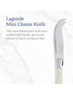 Cuchillo de Queso Mini Jean Dubost - Acero Inoxidable 15.4 cm 2