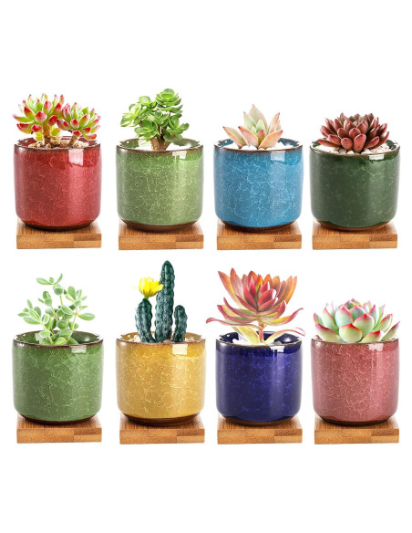 8 Mini Macetas de Cerámica Lawei con Drenaje y Bandeja