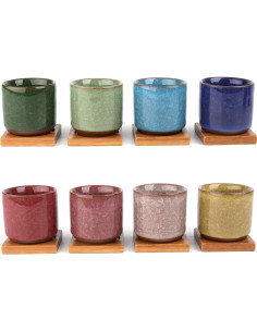 8 Mini Macetas de Cerámica Lawei con Drenaje y Bandeja 2