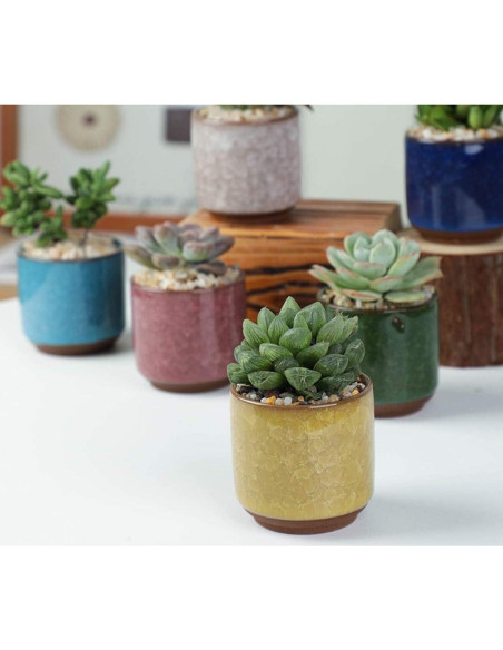 8 Mini Macetas de Cerámica Lawei con Drenaje y Bandeja