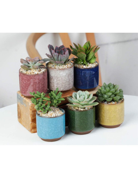 8 Mini Macetas de Cerámica Lawei con Drenaje y Bandeja