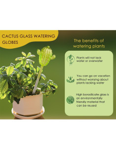 Esferas de Riego Automático Ahhute Cactus - Paquete de 3 2